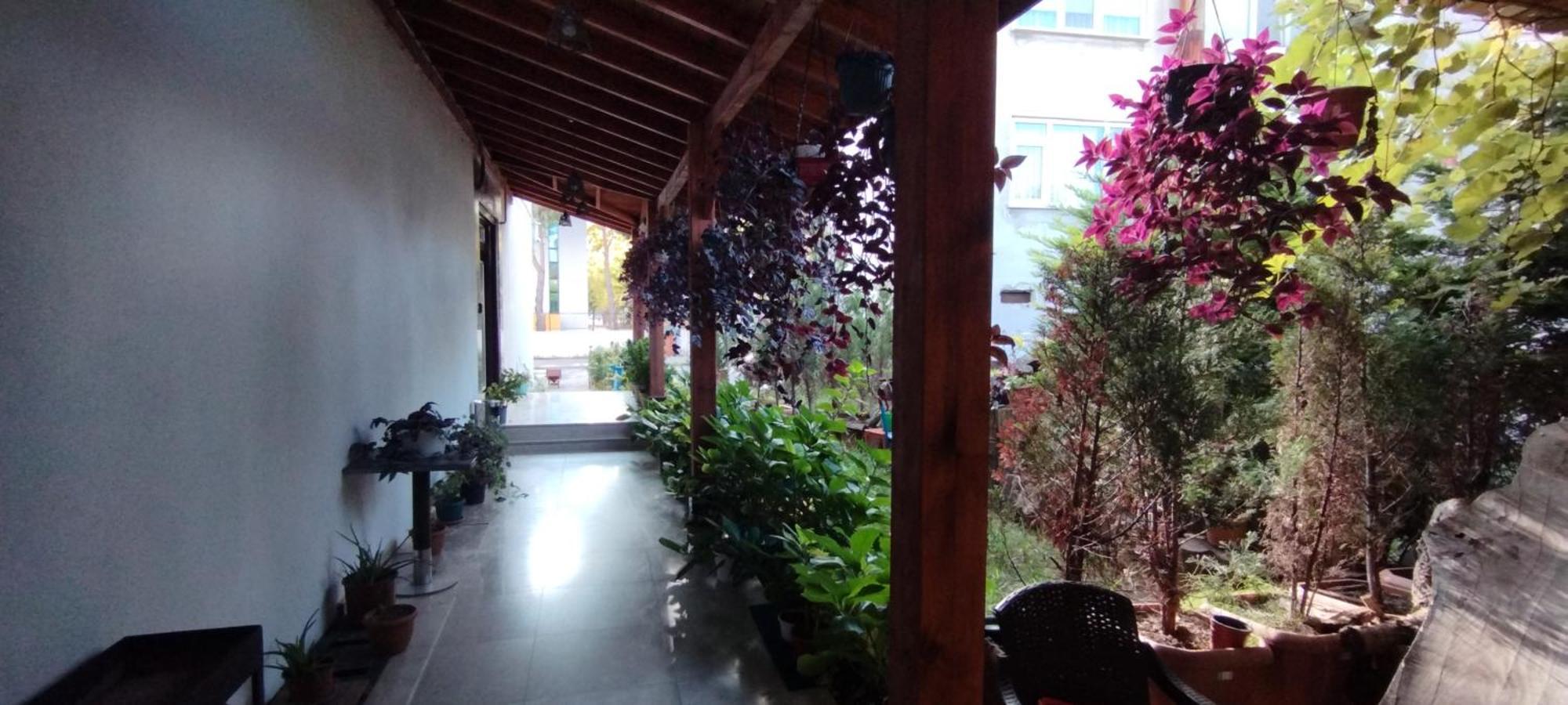 Ceneviz Suit Hotel Akçakoca Exterior foto